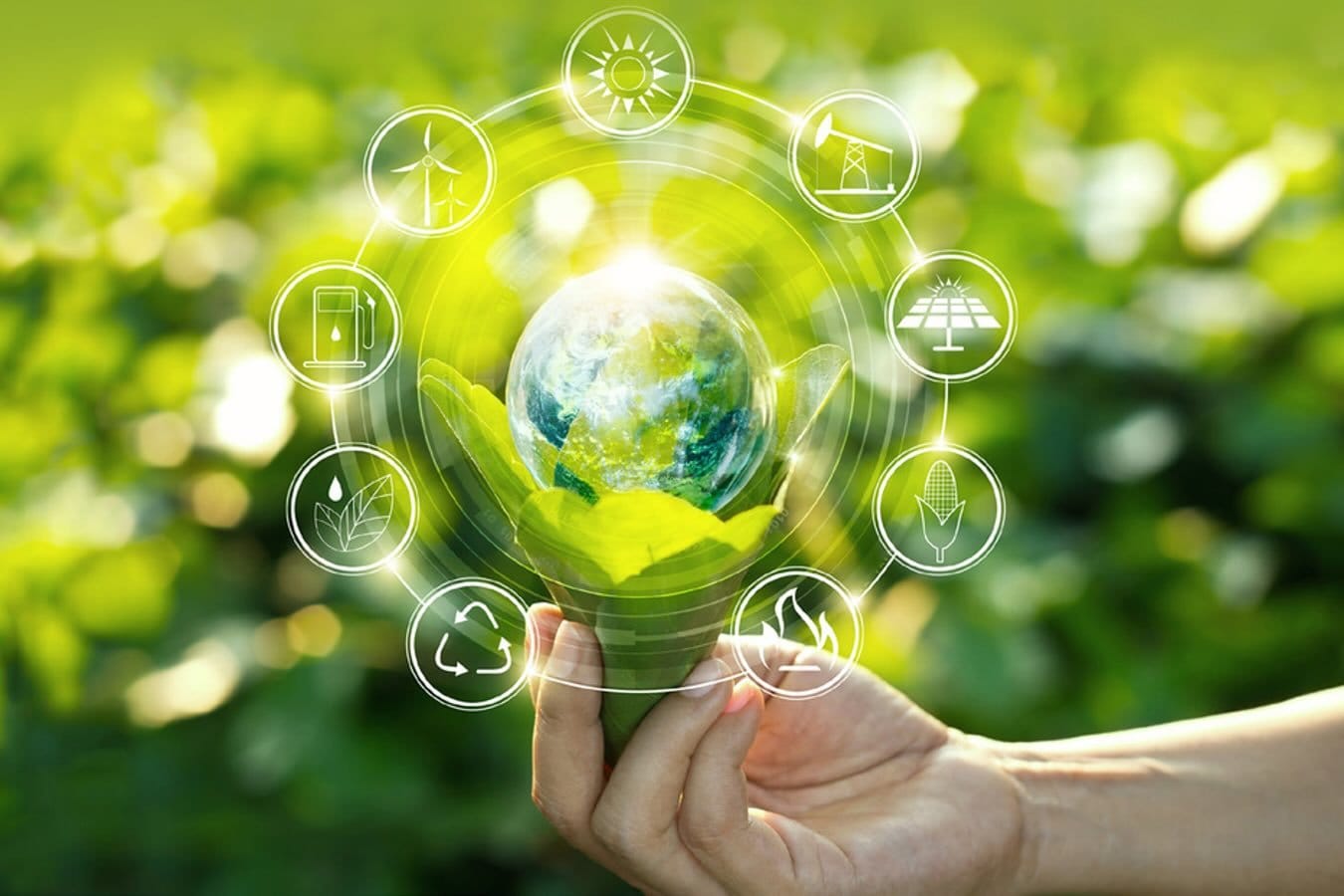 Sustainable business ideas – eco-friendly startups for a greener future